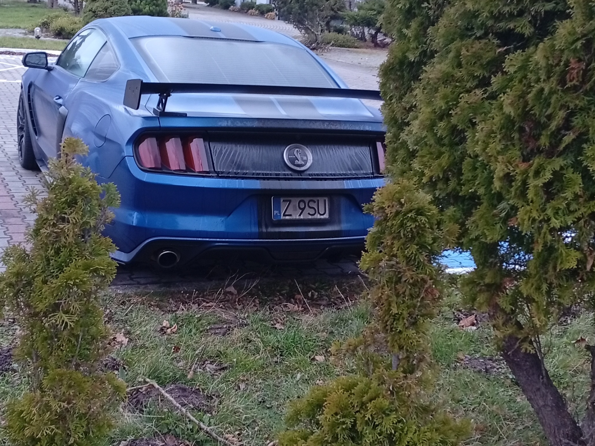 Ford Mustang Shelby GT500 Super Snake