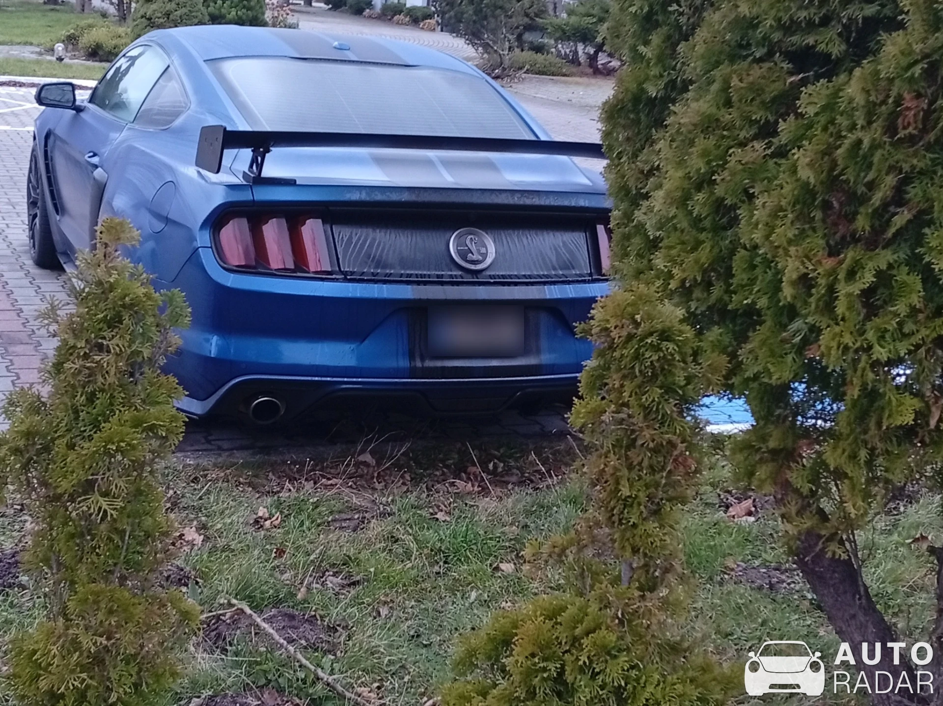 Ford Mustang Shelby GT500 Super Snake spotted in Luzino
