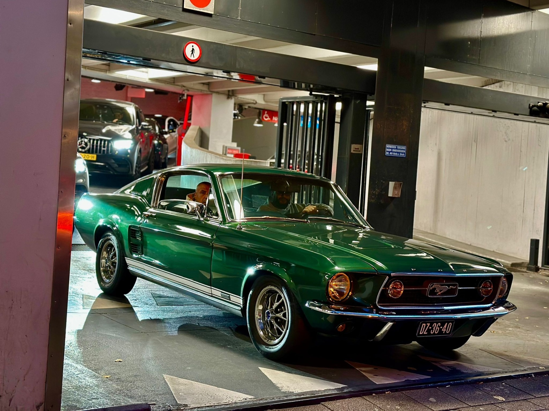 Ford Mustang Fastback 289 HiPo