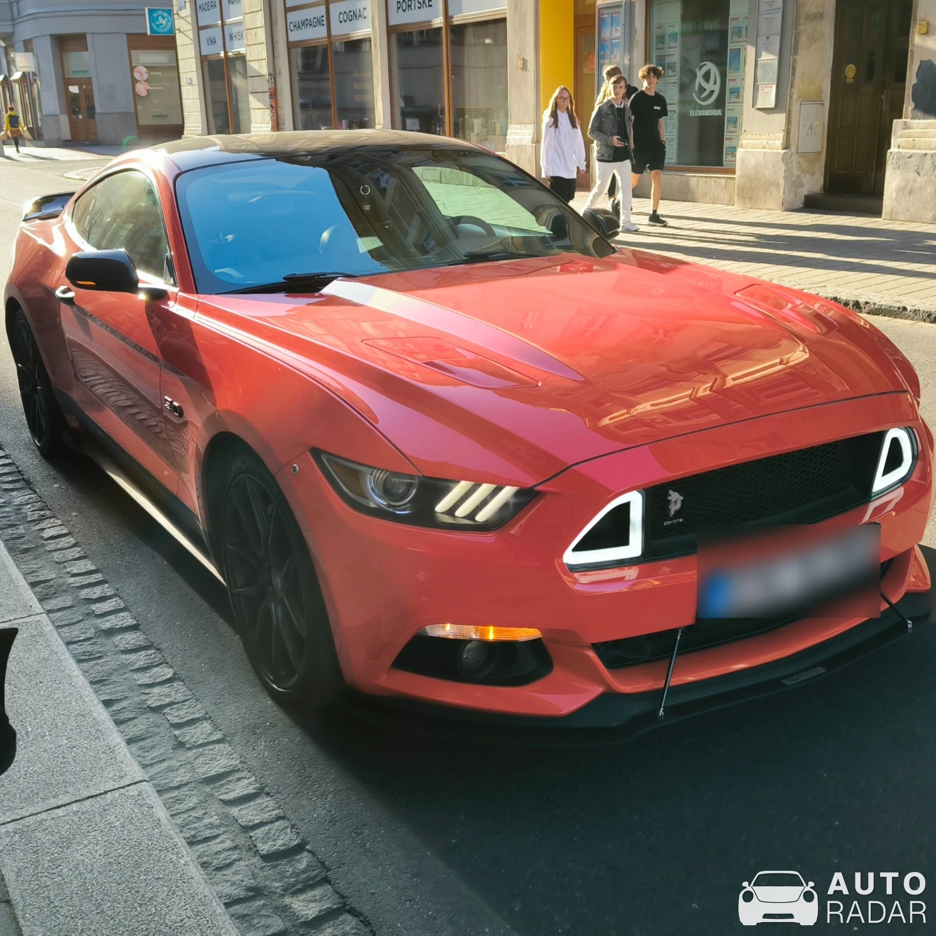 Ford Mustang Coyote spotted