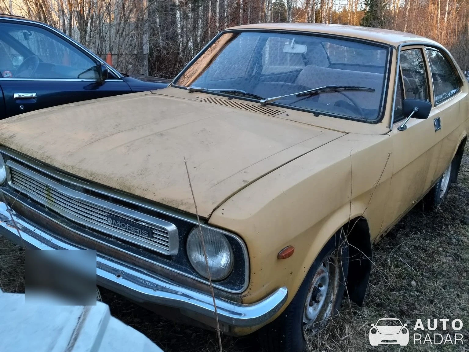 Morris Marina spotted in Rutalahti
