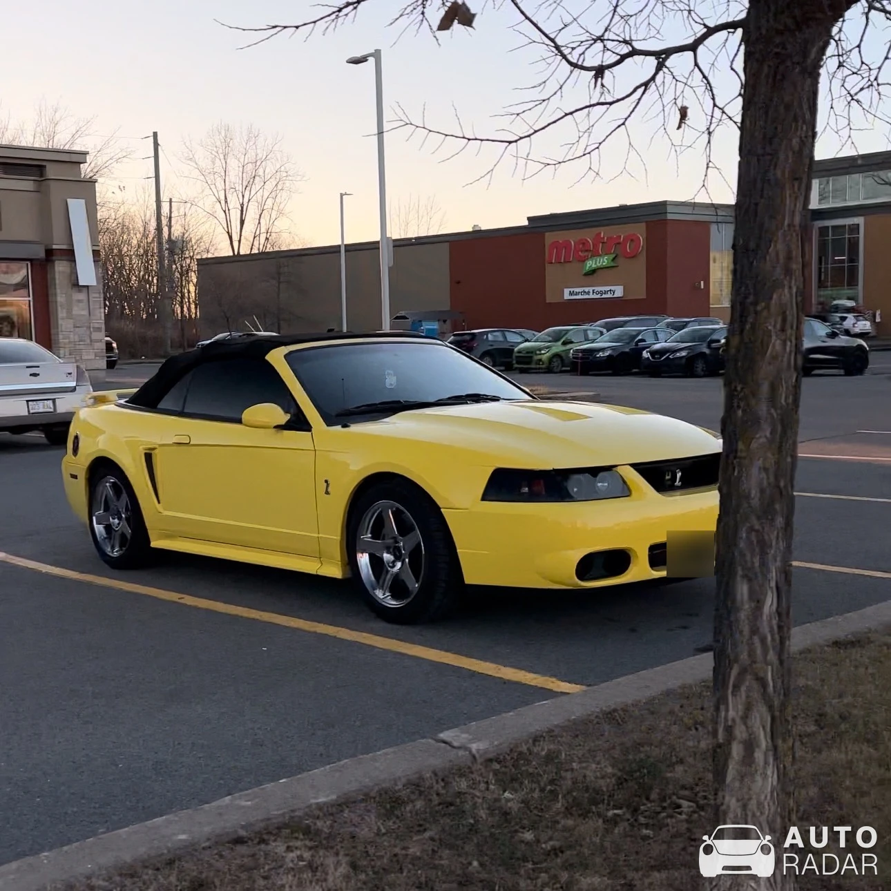 Ford SVT Mustang Cobra spotted in Charlemagne, Canada