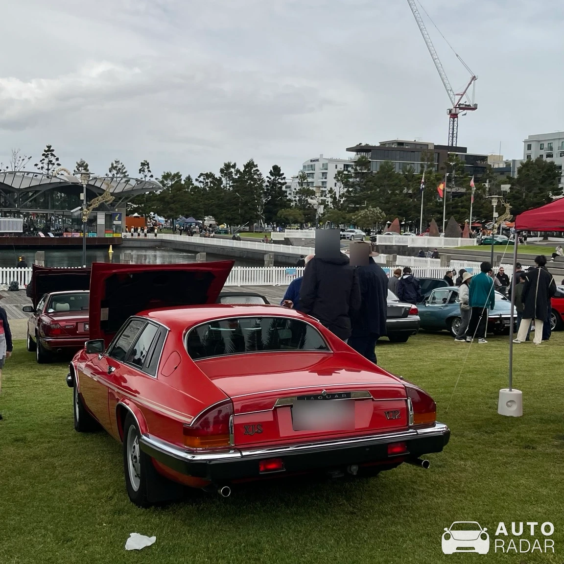Jaguar XJ12 spotted