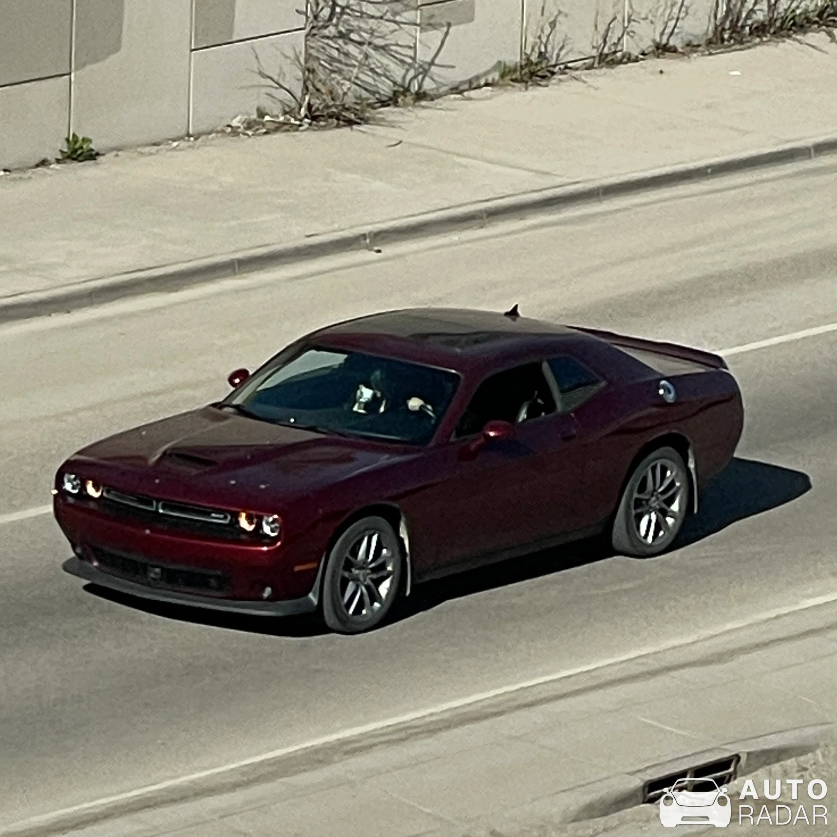 Dodge Challenger SXT spotted in Calgary