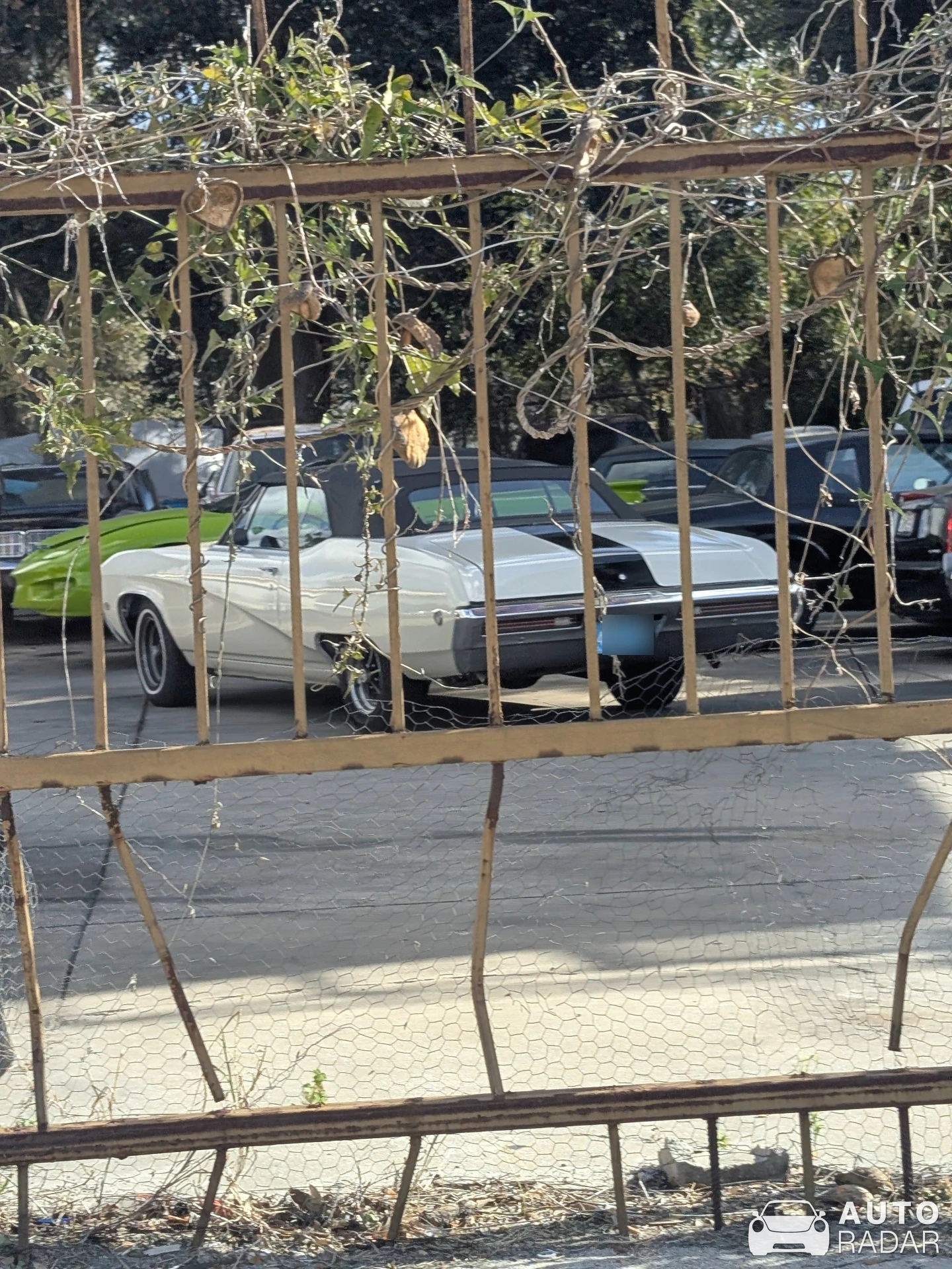 Buick Skylark Convertible spotted in Bardiya National Park