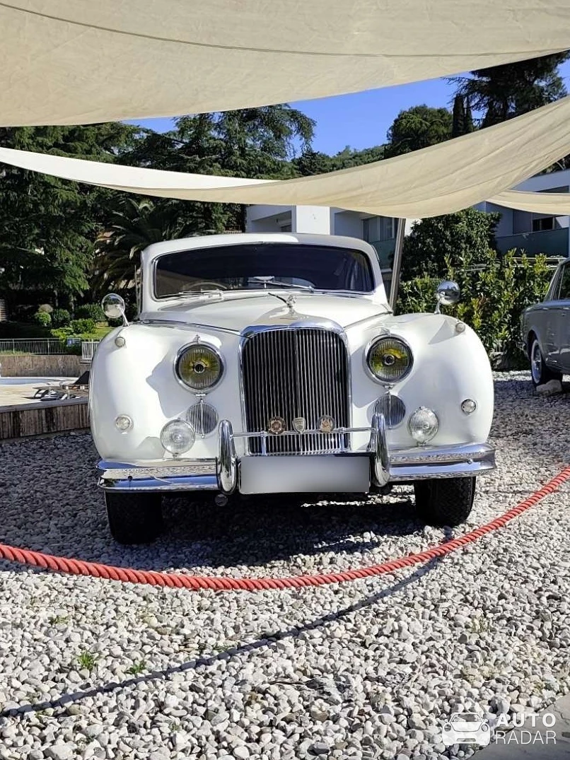 Jaguar Mark IX spotted in Piran
