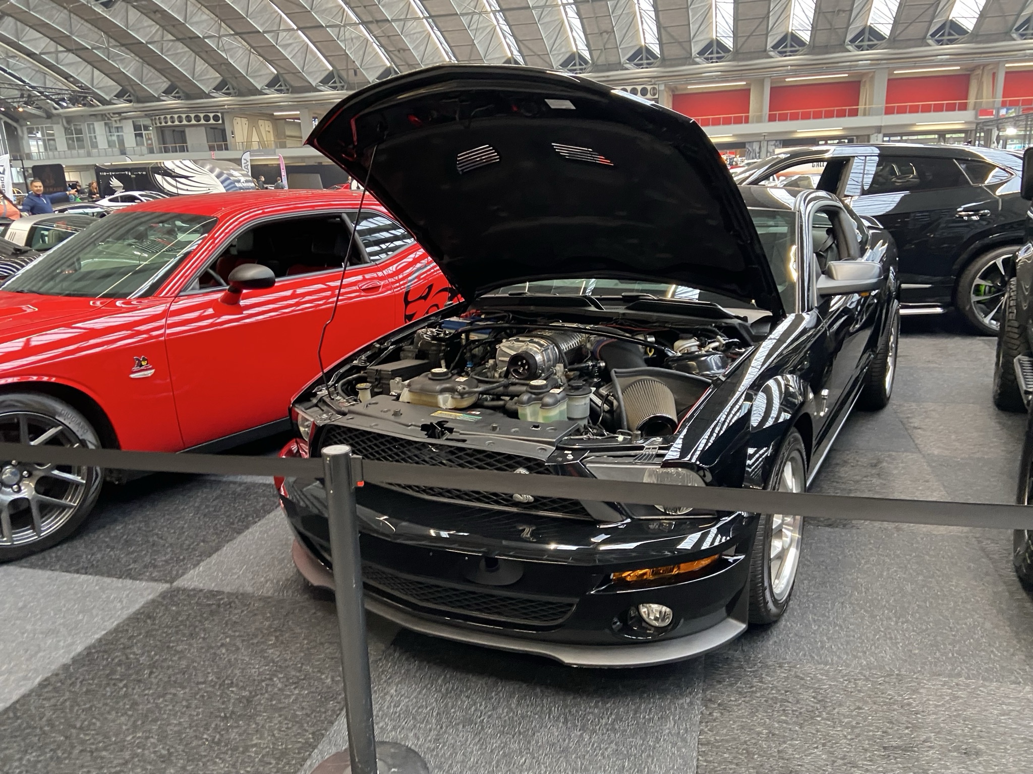 Ford Mustang Shelby GT500 2010