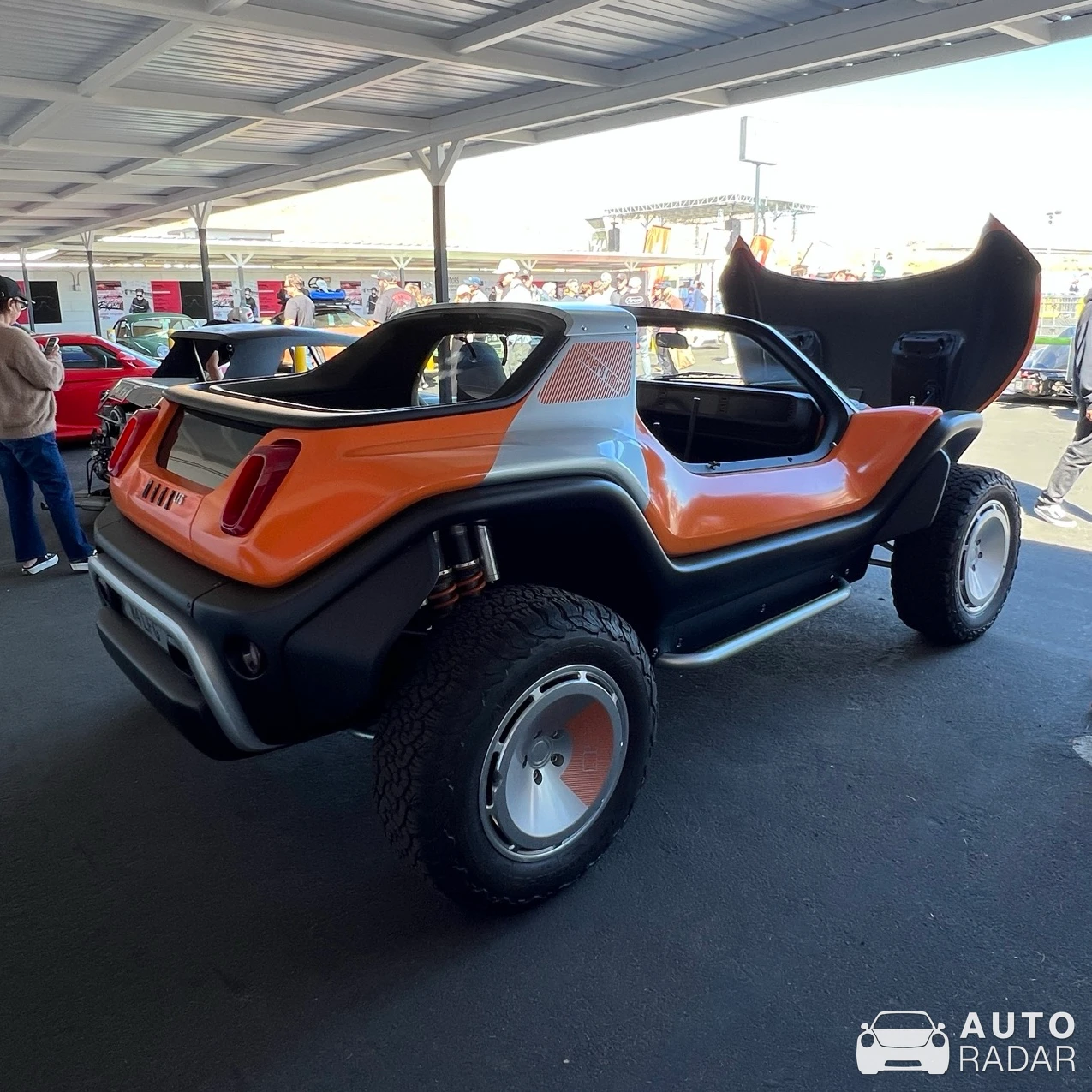 Meyers Manx spotted in Rosamond