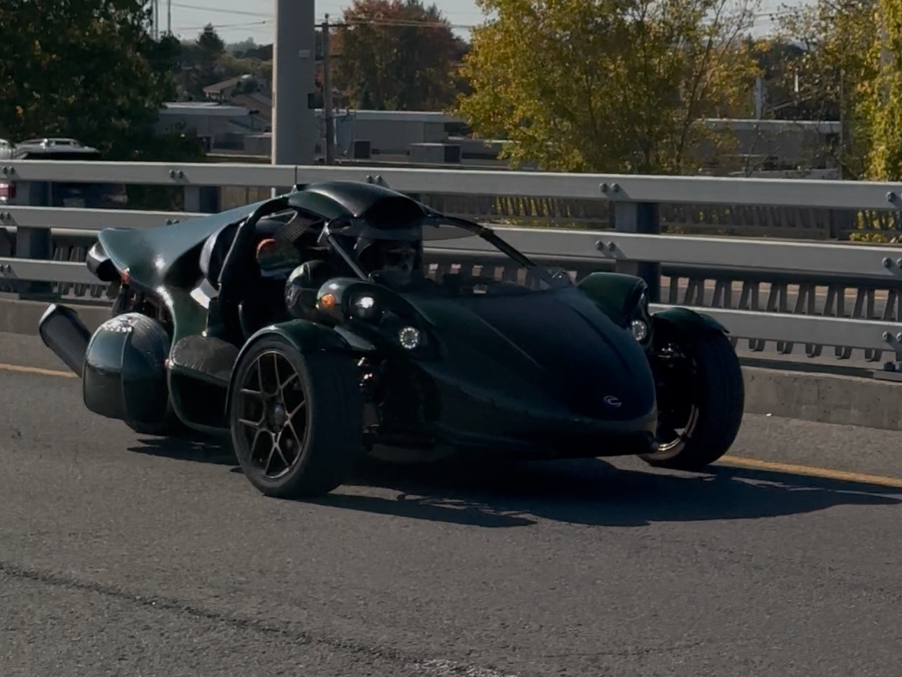 Campagna T-Rex Aero 3S