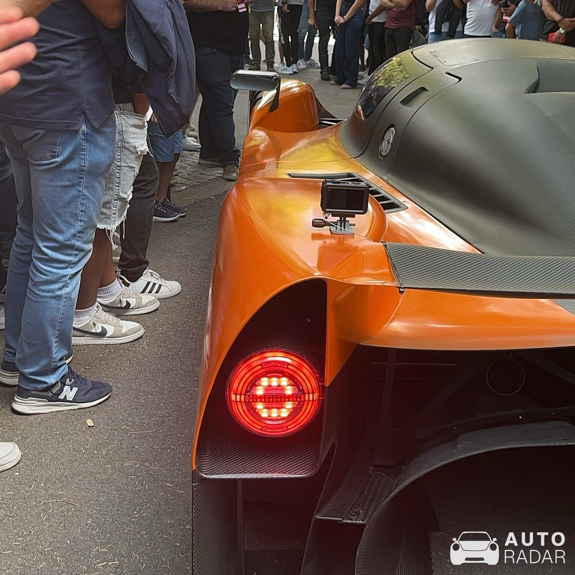 Adamastor Furia spotted in Tondela, Portugal