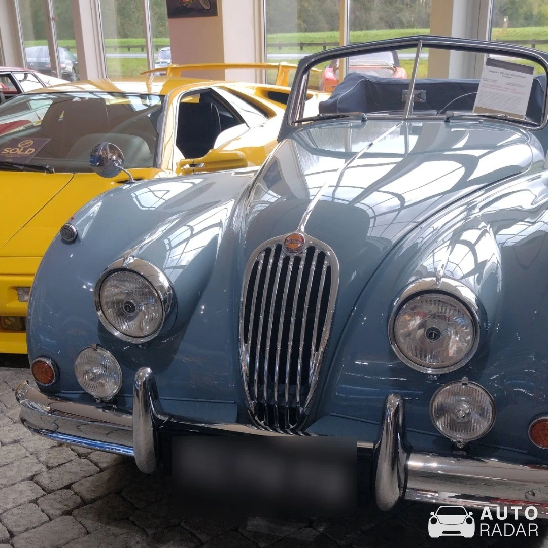 Jaguar XK140 spotted in Brummen, Netherlands