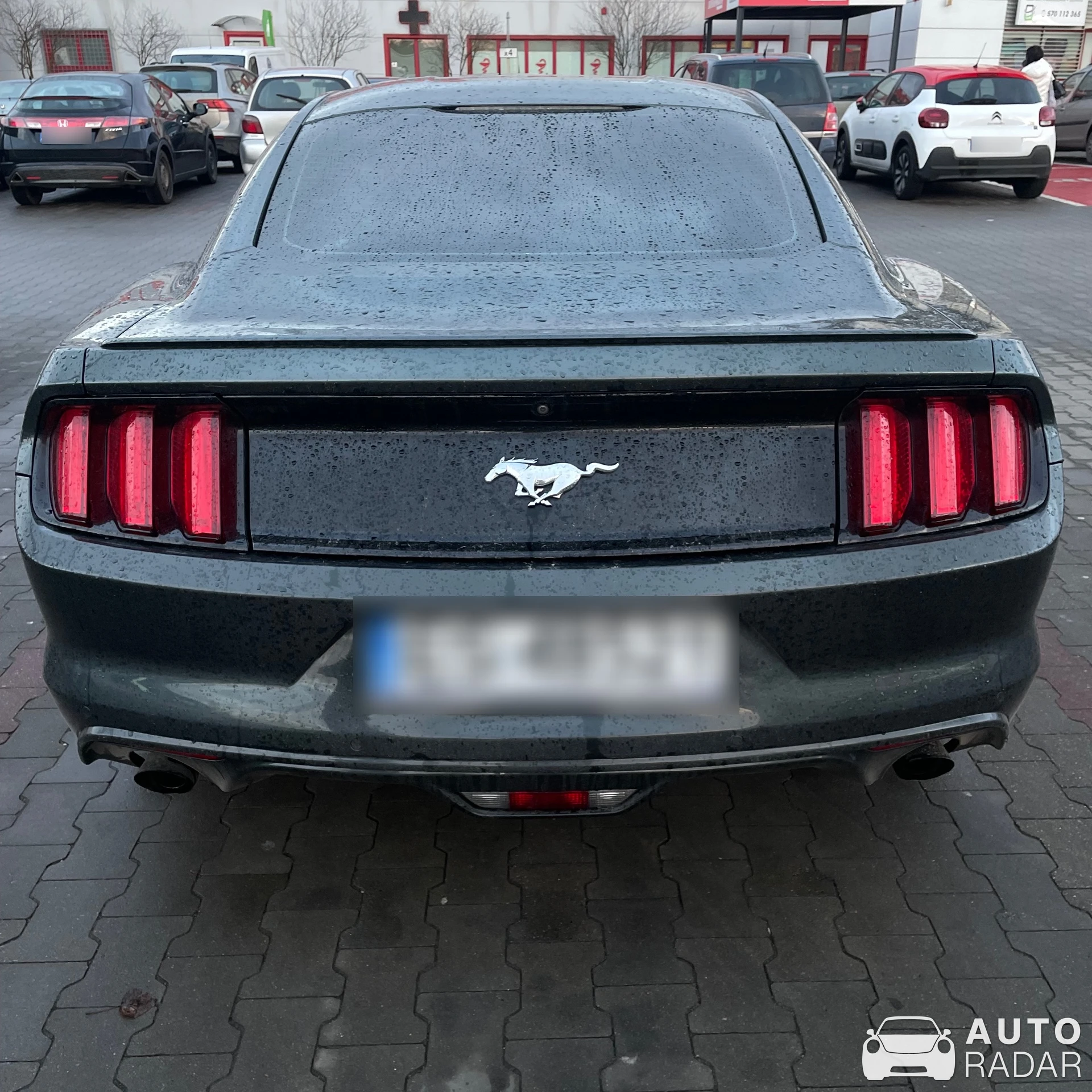 Ford Mustang 2.3 Ecoboost spotted in Skierniewice, Polska