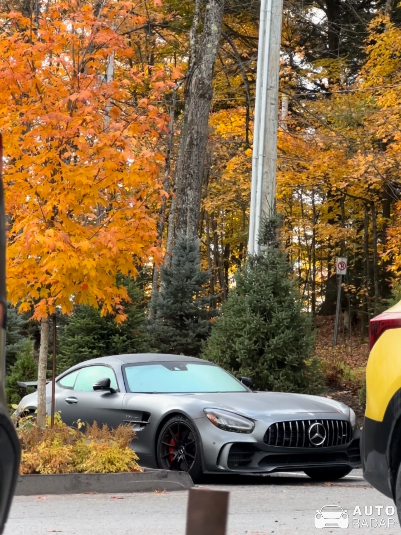 Mercedes-AMG GT R C190 spotted in Ayer's Cliff, Canada