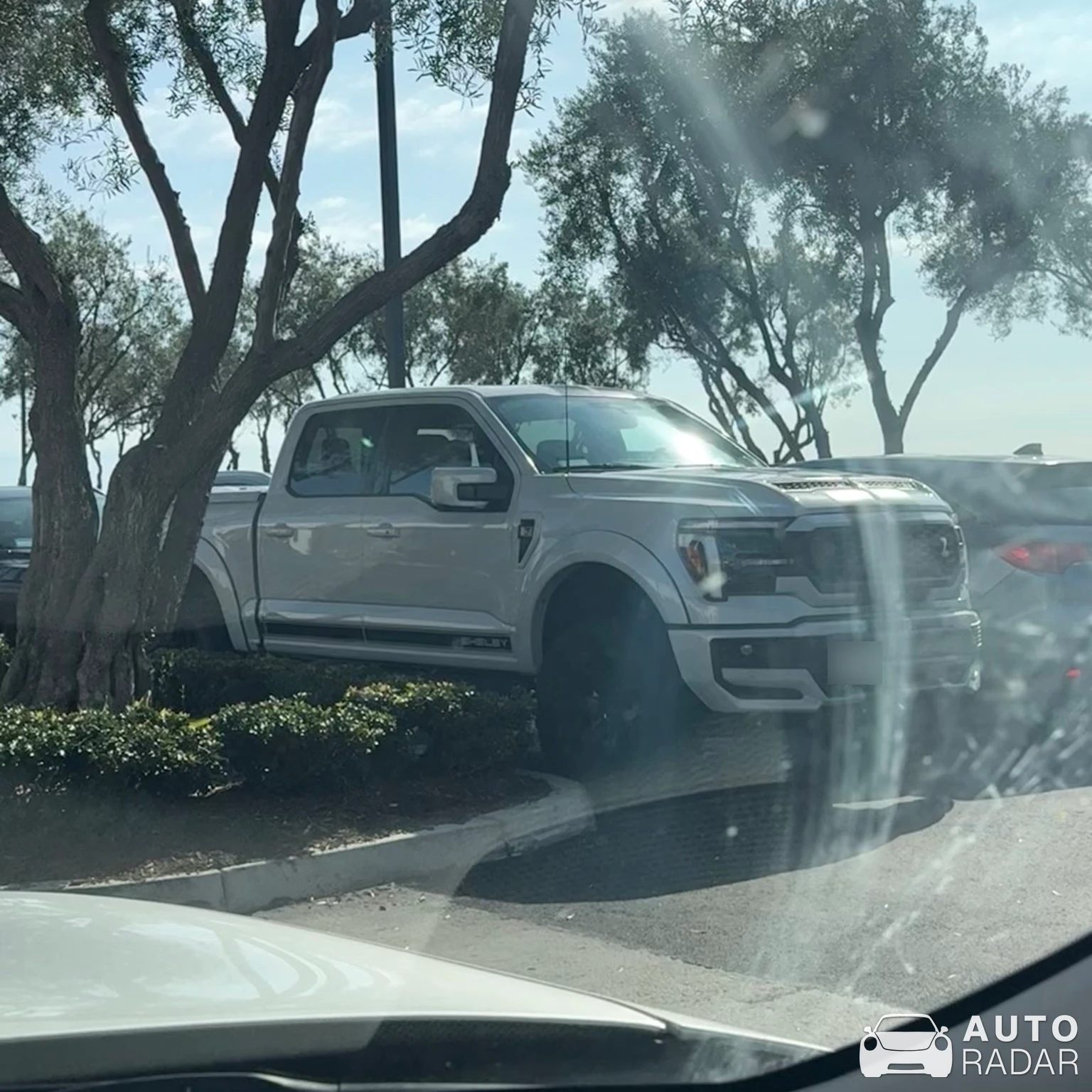 Ford F-150 Shelby spotted in Newport Beach, United States