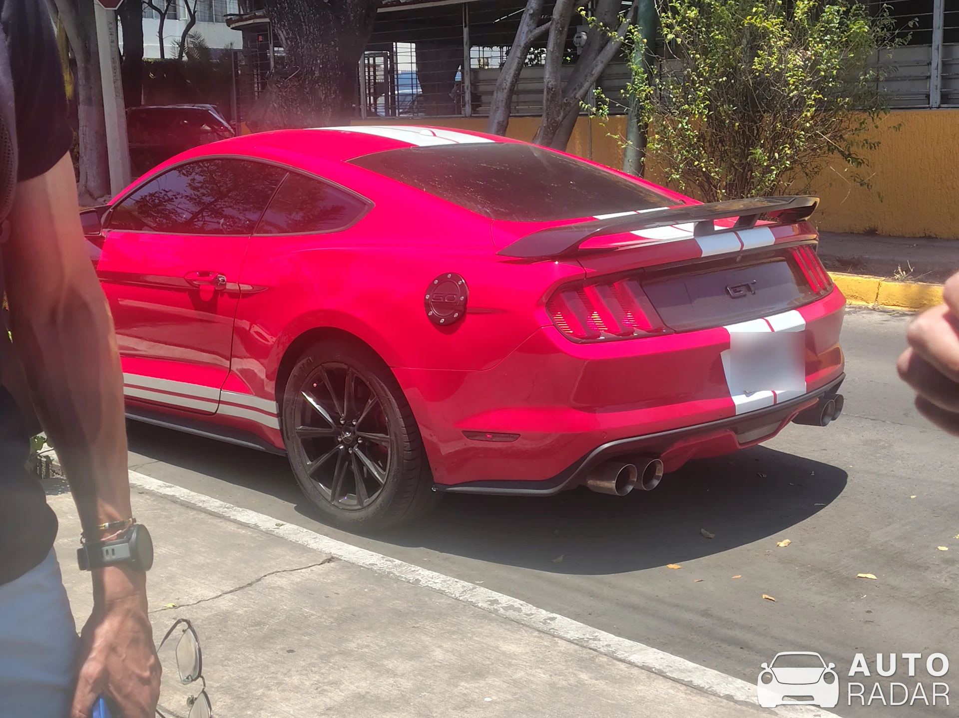 Ford Mustang GT S550 spotted in Zapopan