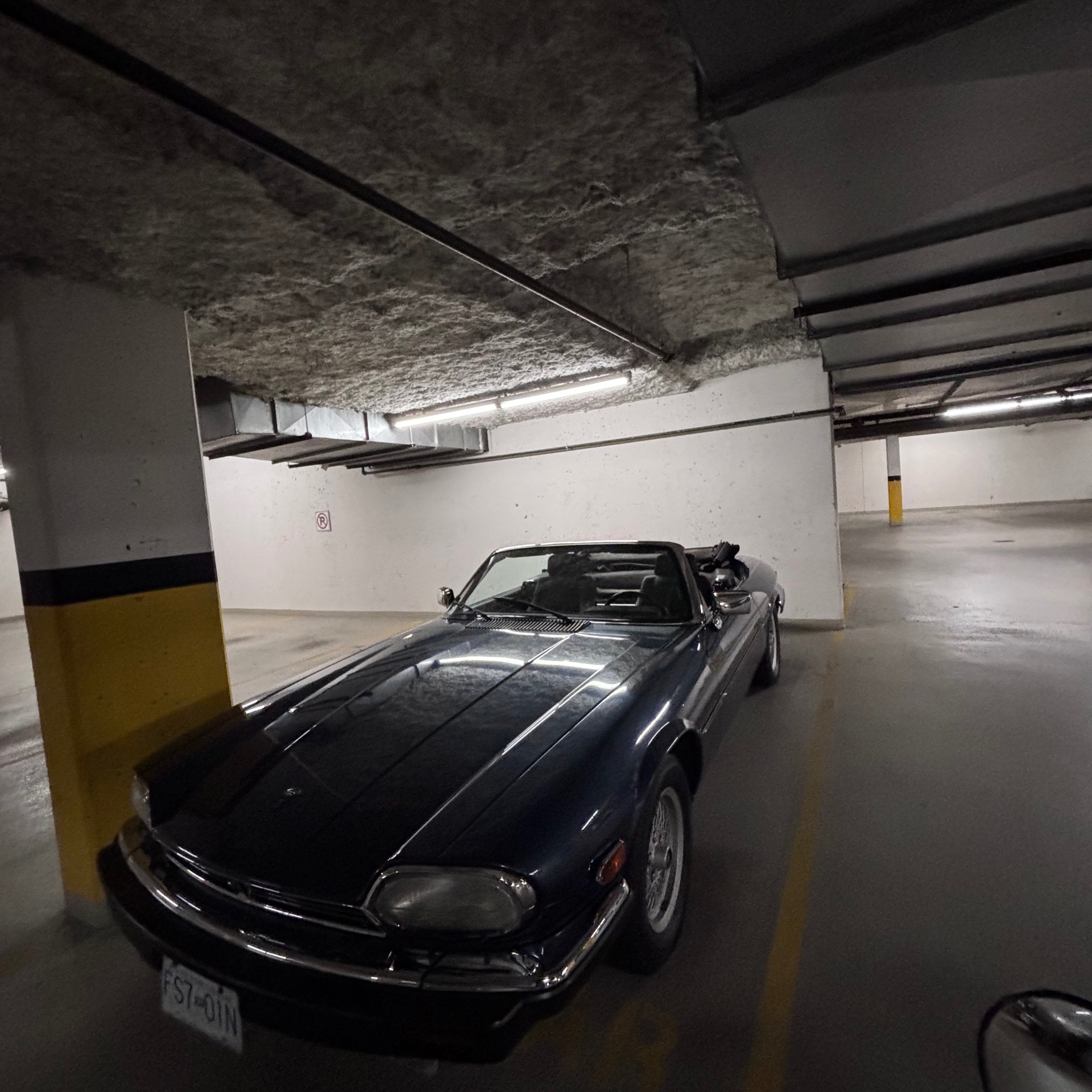 Jaguar XJS V12
