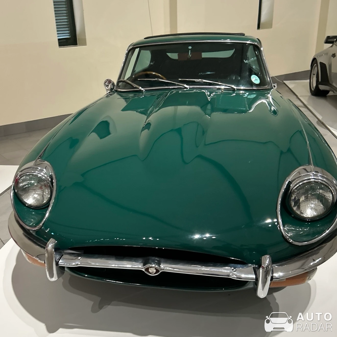Jaguar E-Type spotted in Wemmershoek