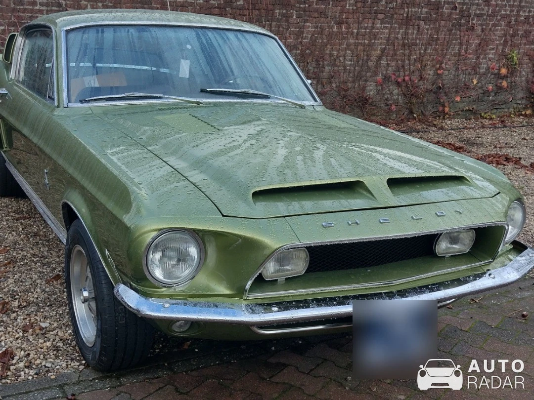 Ford Mustang Shelby GT350 spotted in Brummen, Netherlands