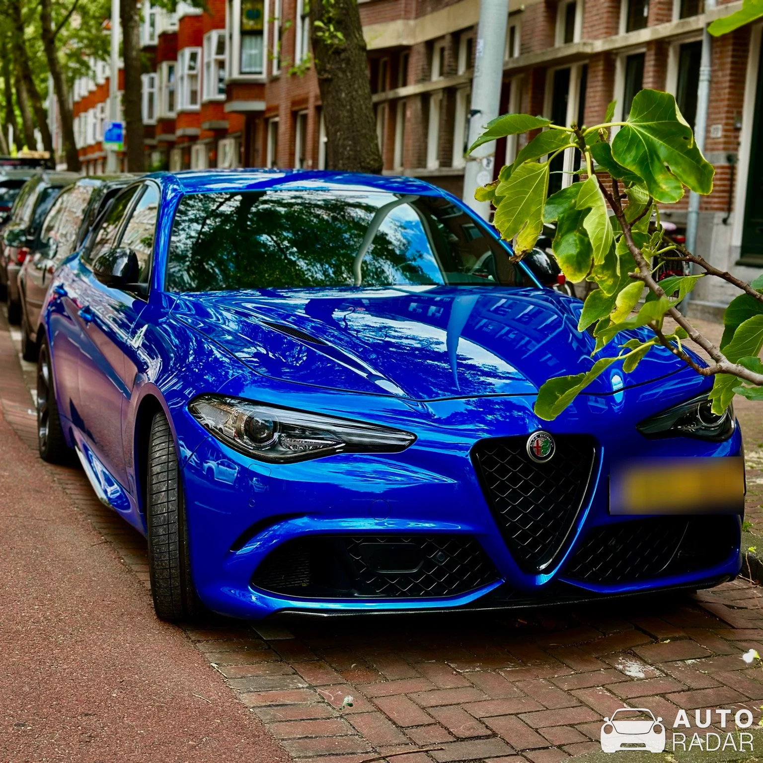 Alfa Romeo Giulia Quadrifoglio 2023 spotted in Rotterdam, Netherlands