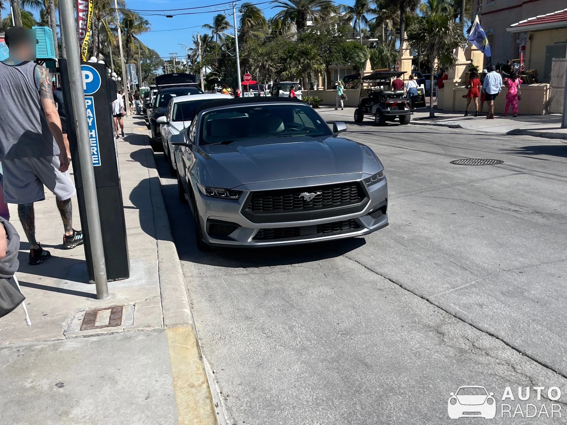 Ford Mustang Mach 1 S550 spotted in Key West, United States