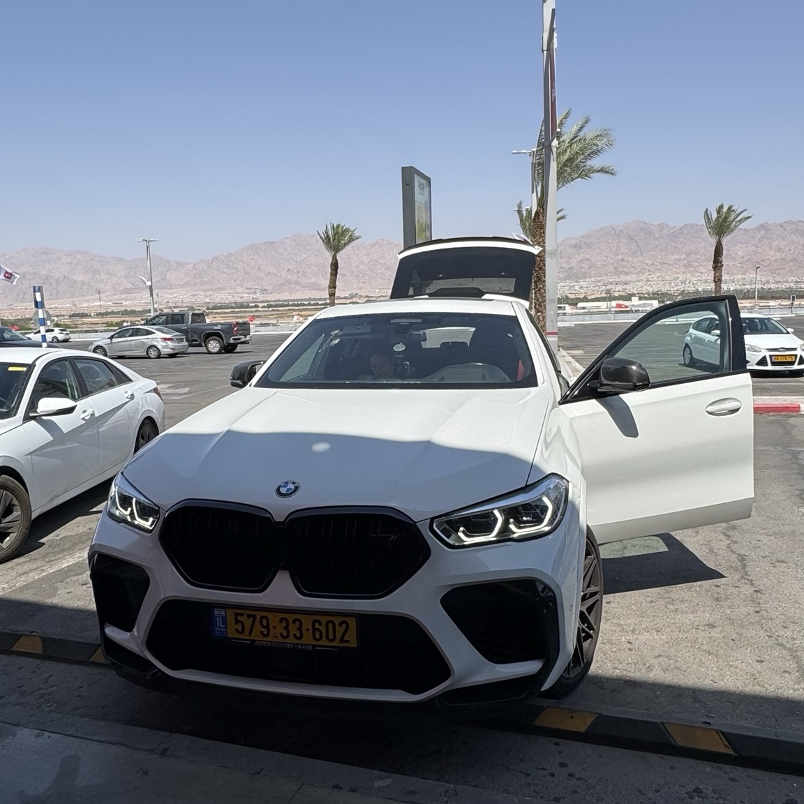 BMW X6 M F96