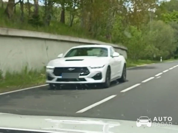 Ford Mustang GT S650 spotted in Sohland an der Spree