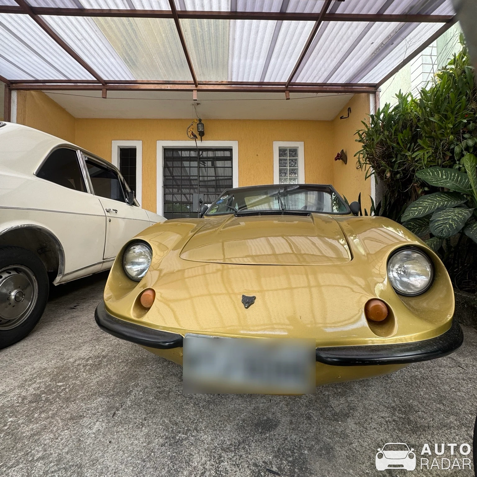 Puma GTB spotted