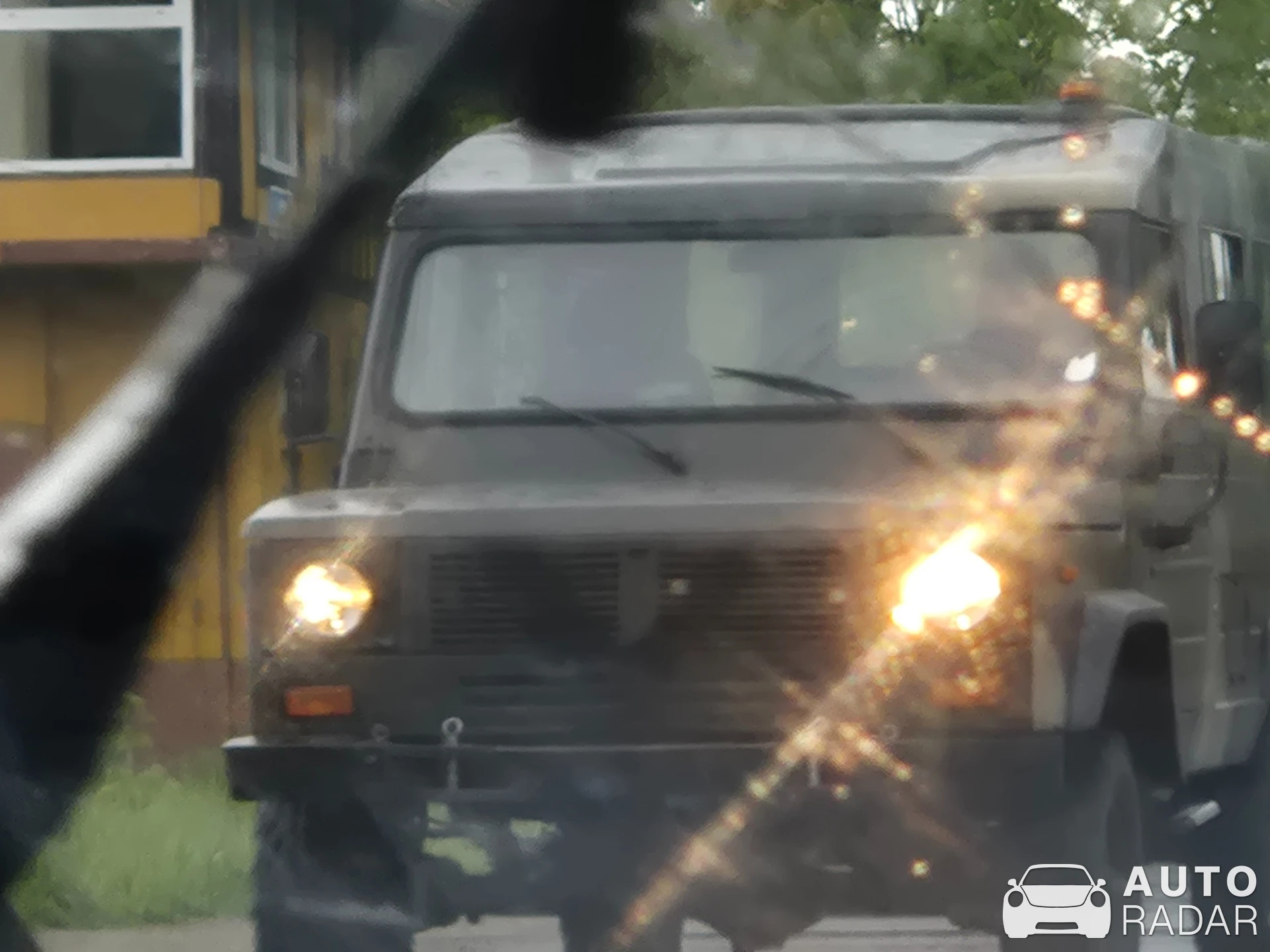 Tarpan Honker spotted in Lwówek Śląski