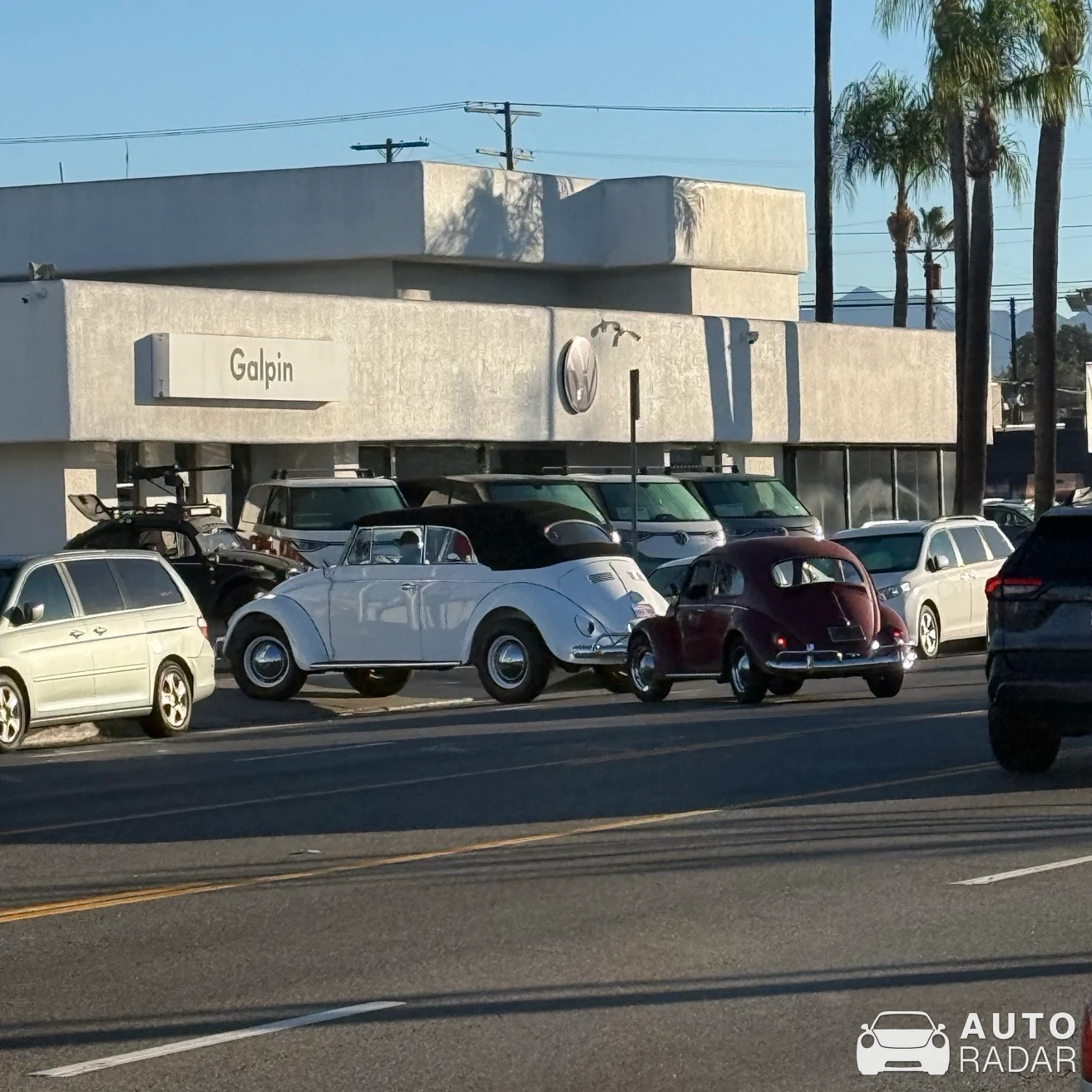 Volkswagen Beetle Convertible 'Huge Bug' spotted in Los Angeles