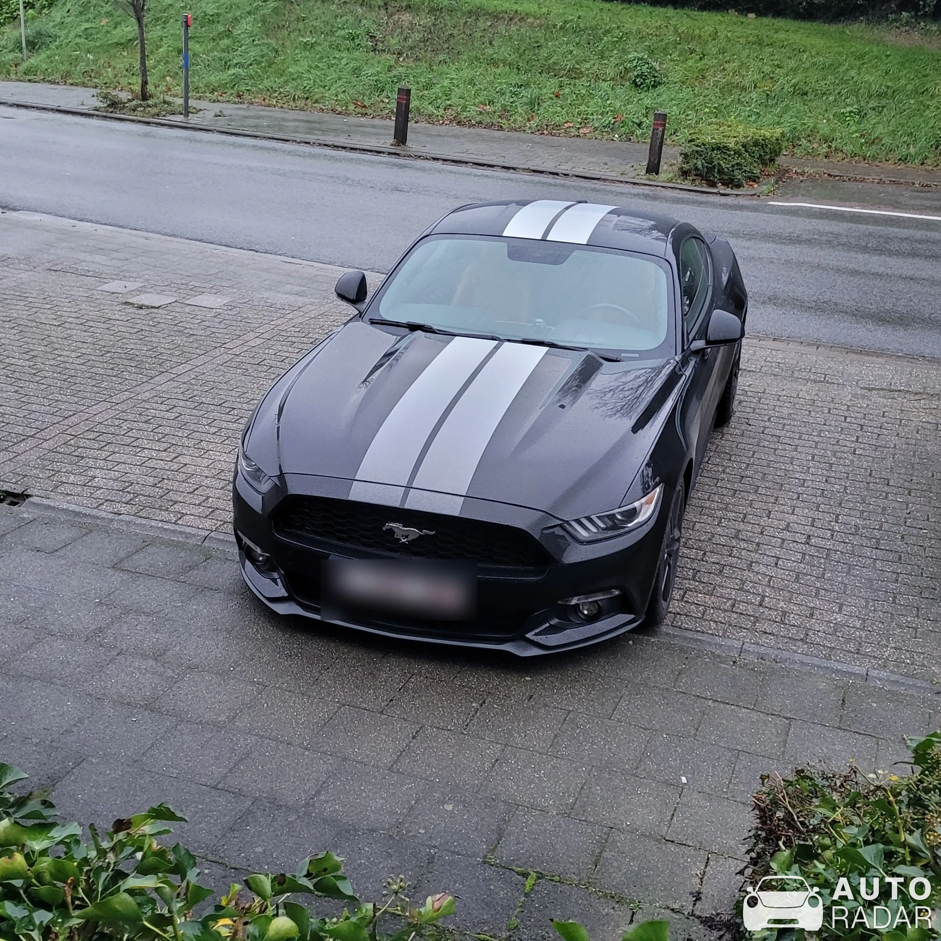 Ford Mustang 2.3 Ecoboost spotted in Torhout, Belgium
