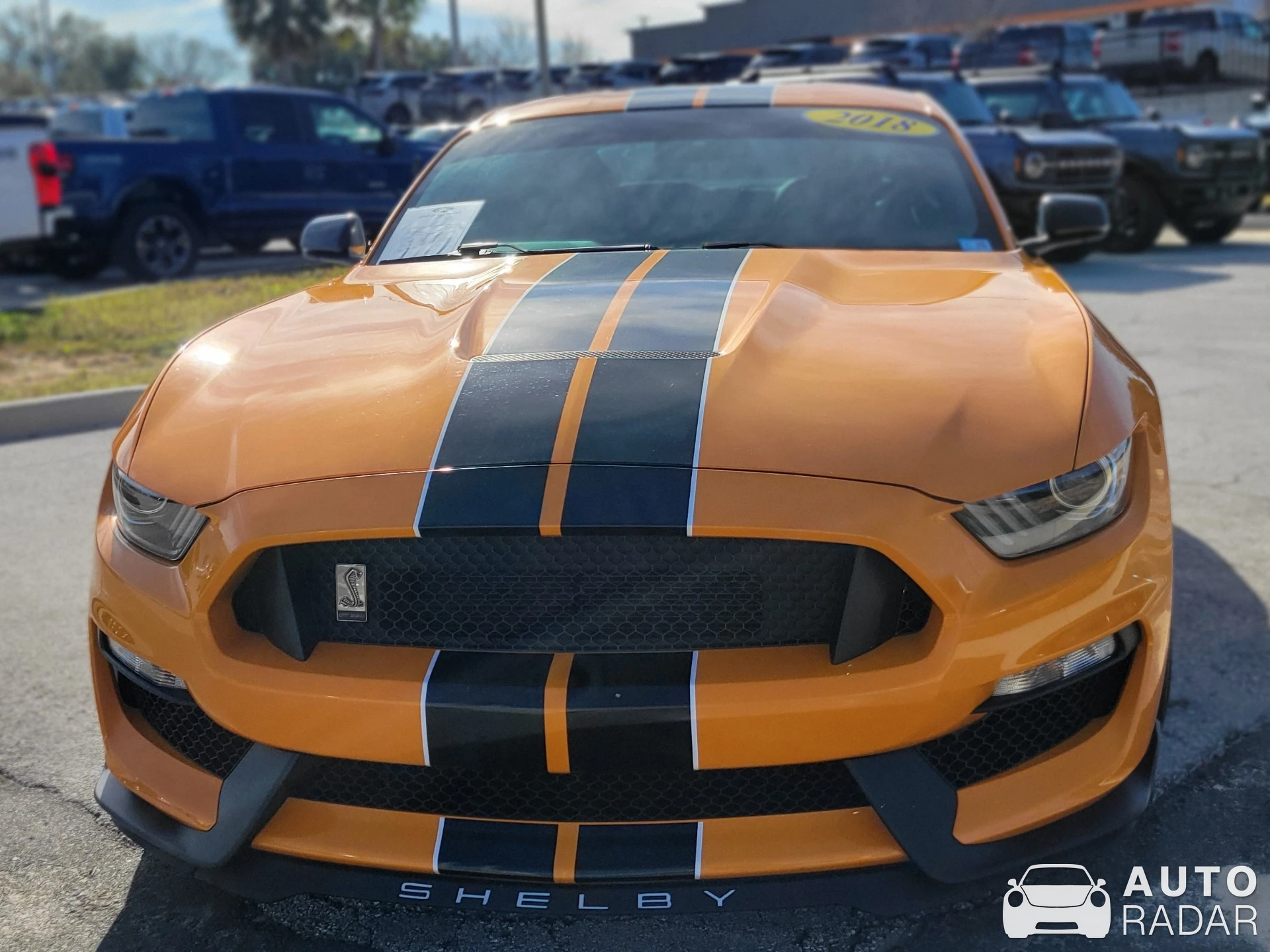 Ford Mustang Shelby GT500 spotted in Pahrump, United States