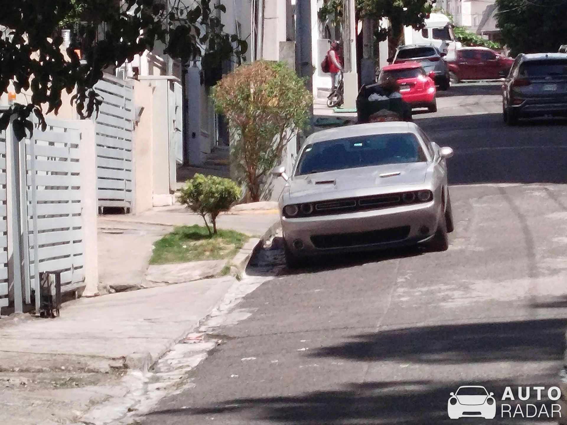 Dodge Challenger spotted in Santo Domingo