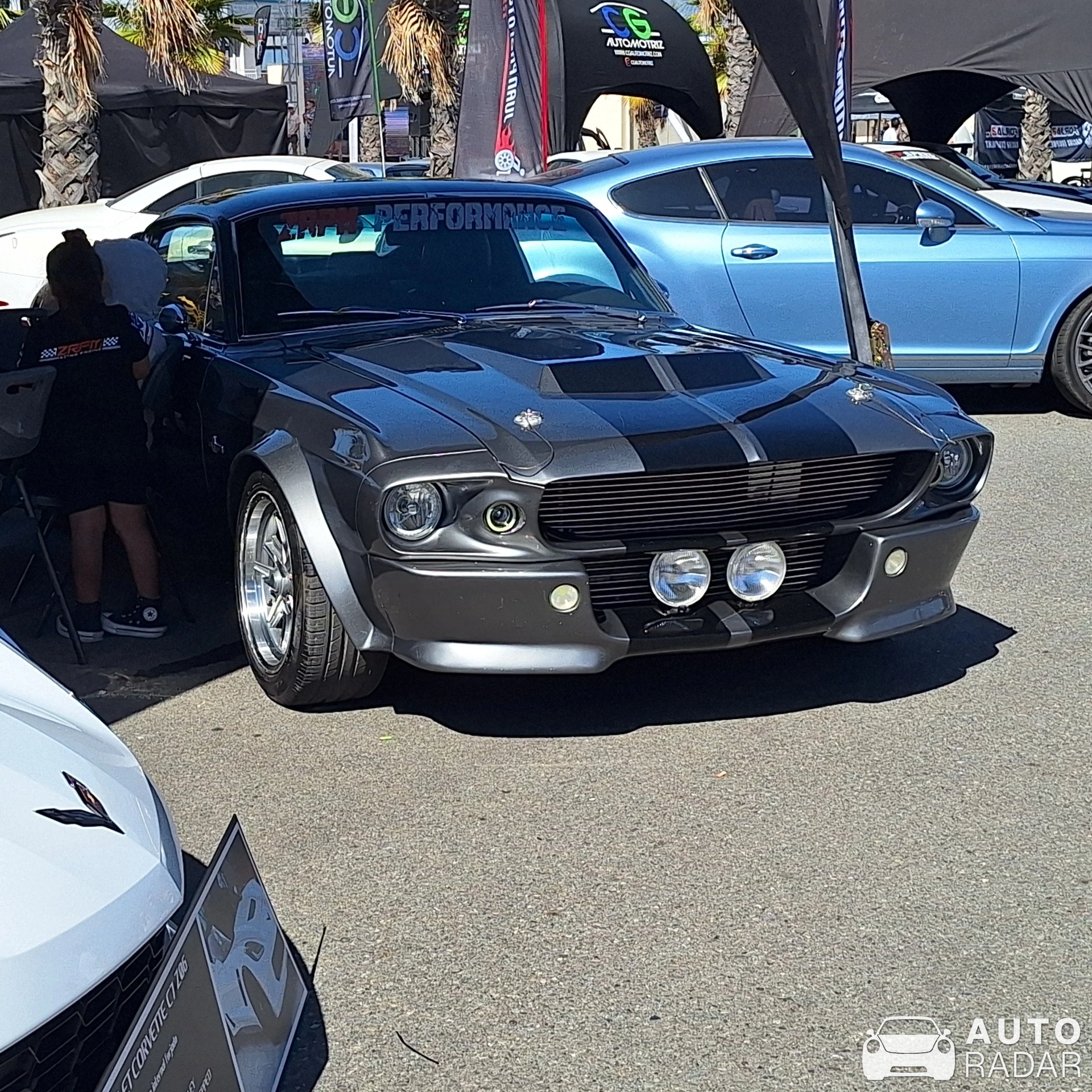 Ford Mustang GT C-500 Eleanor spotted in Codegua, Chile