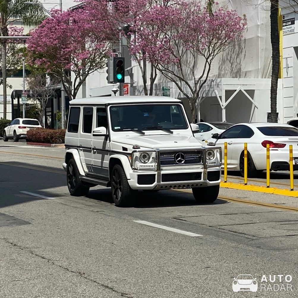 Mercedes-AMG G 65 spotted in Beverly Hills
