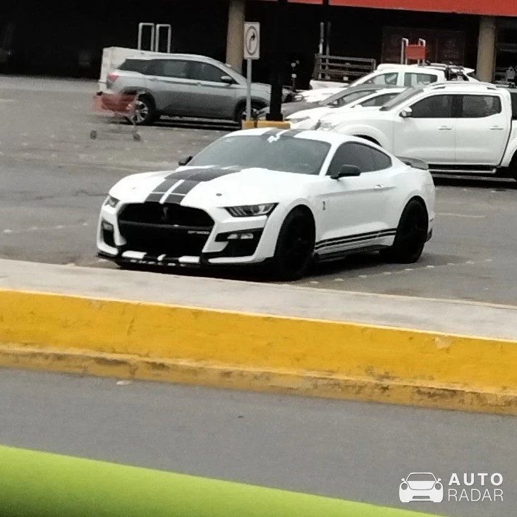 Ford Mustang Shelby GT500 spotted in Saltillo, México