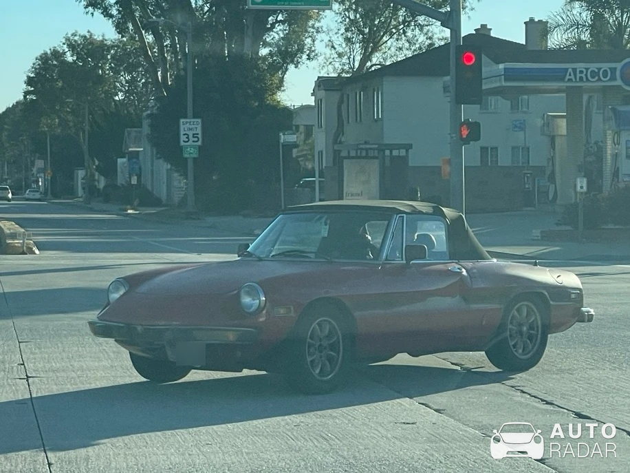 Alfa Romeo 2000 Spider Veloce spotted in Torrance, United States