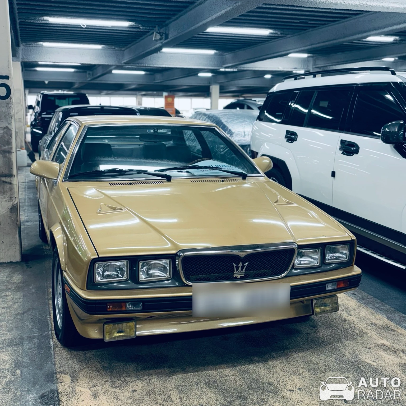 Maserati 222E spotted