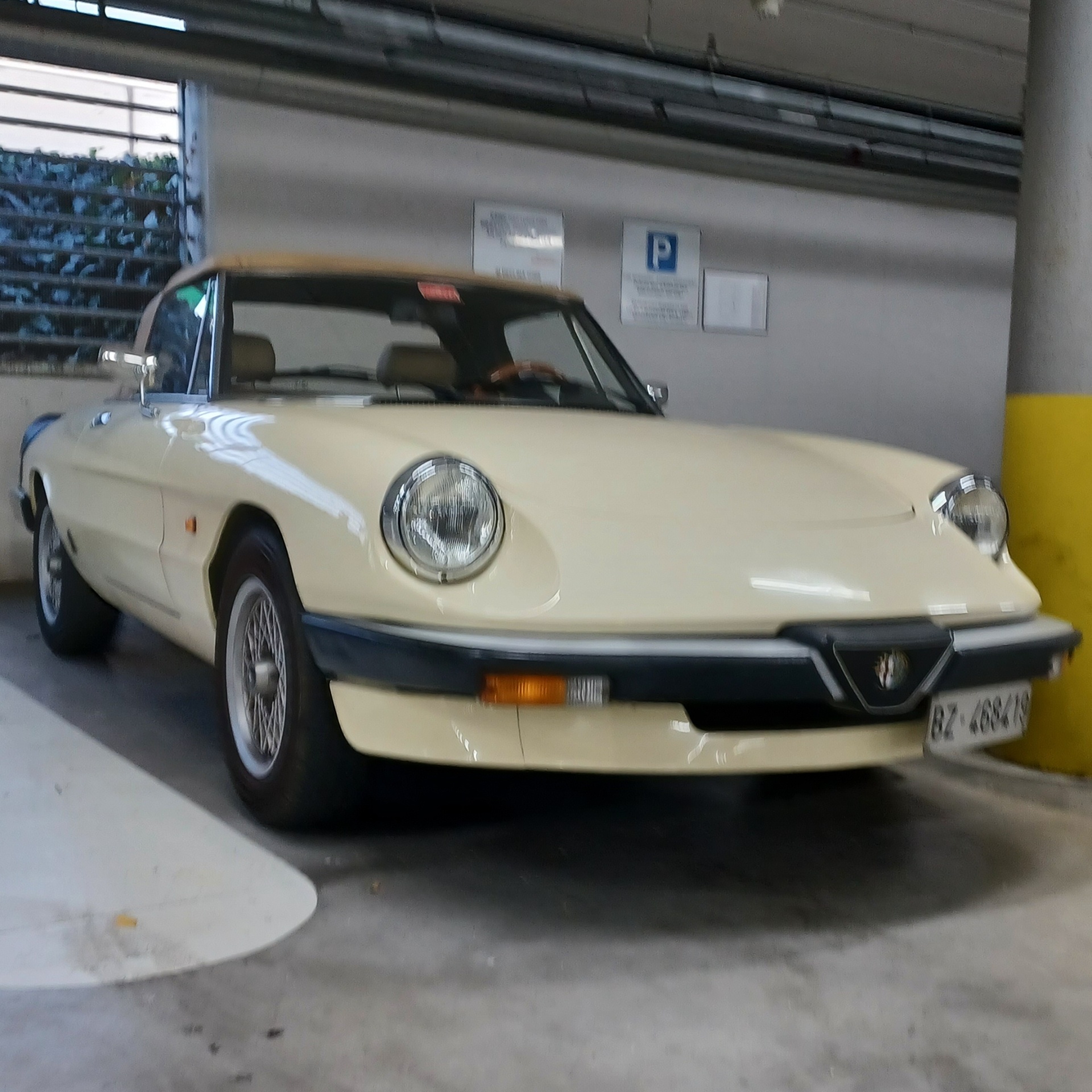 Alfa Romeo Spider Series 4