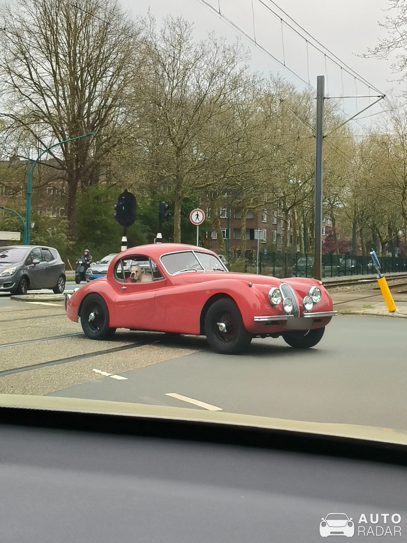 Jaguar XK120 spotted in Amsterdam