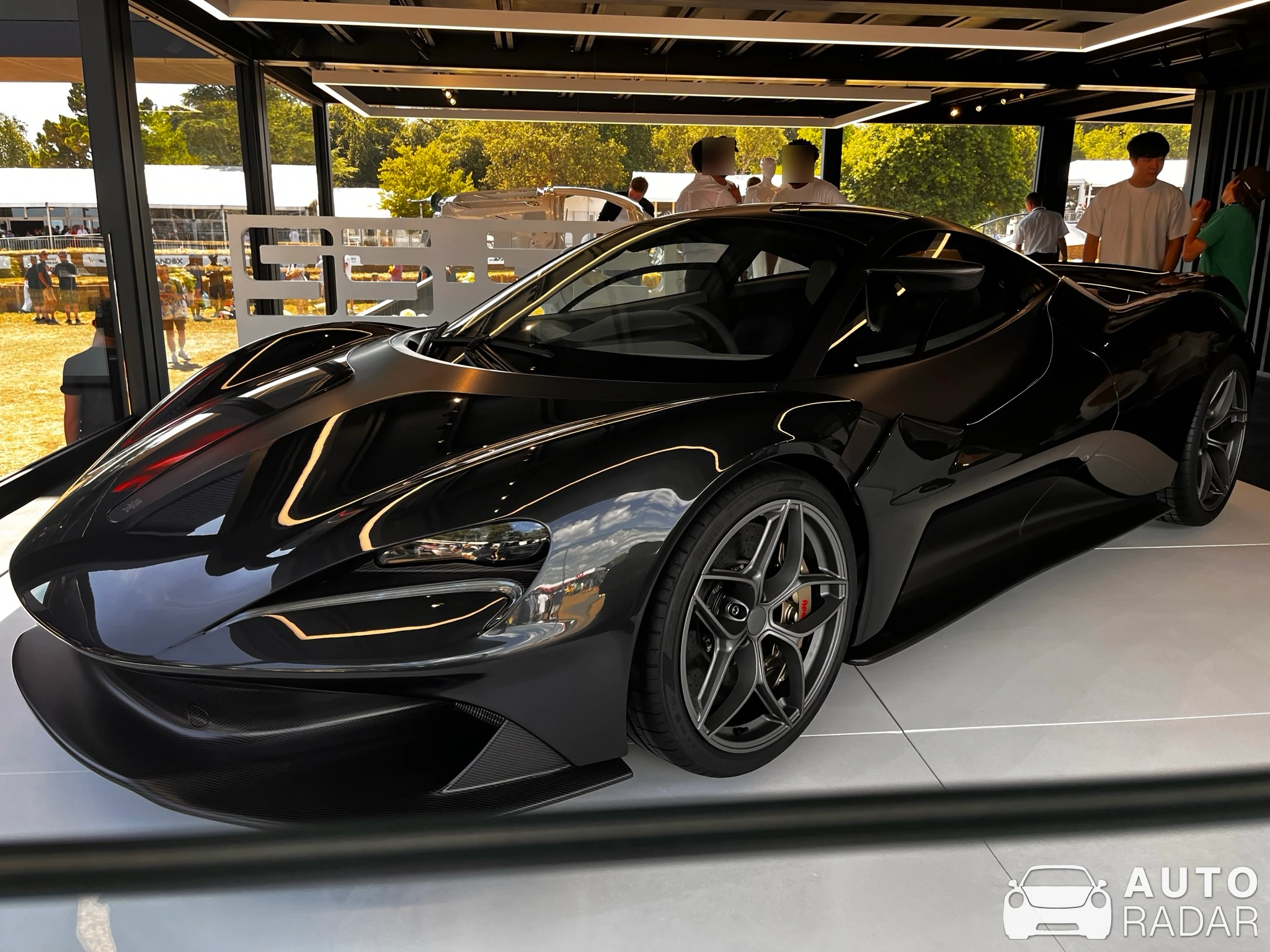 Lanzante 95-59 spotted