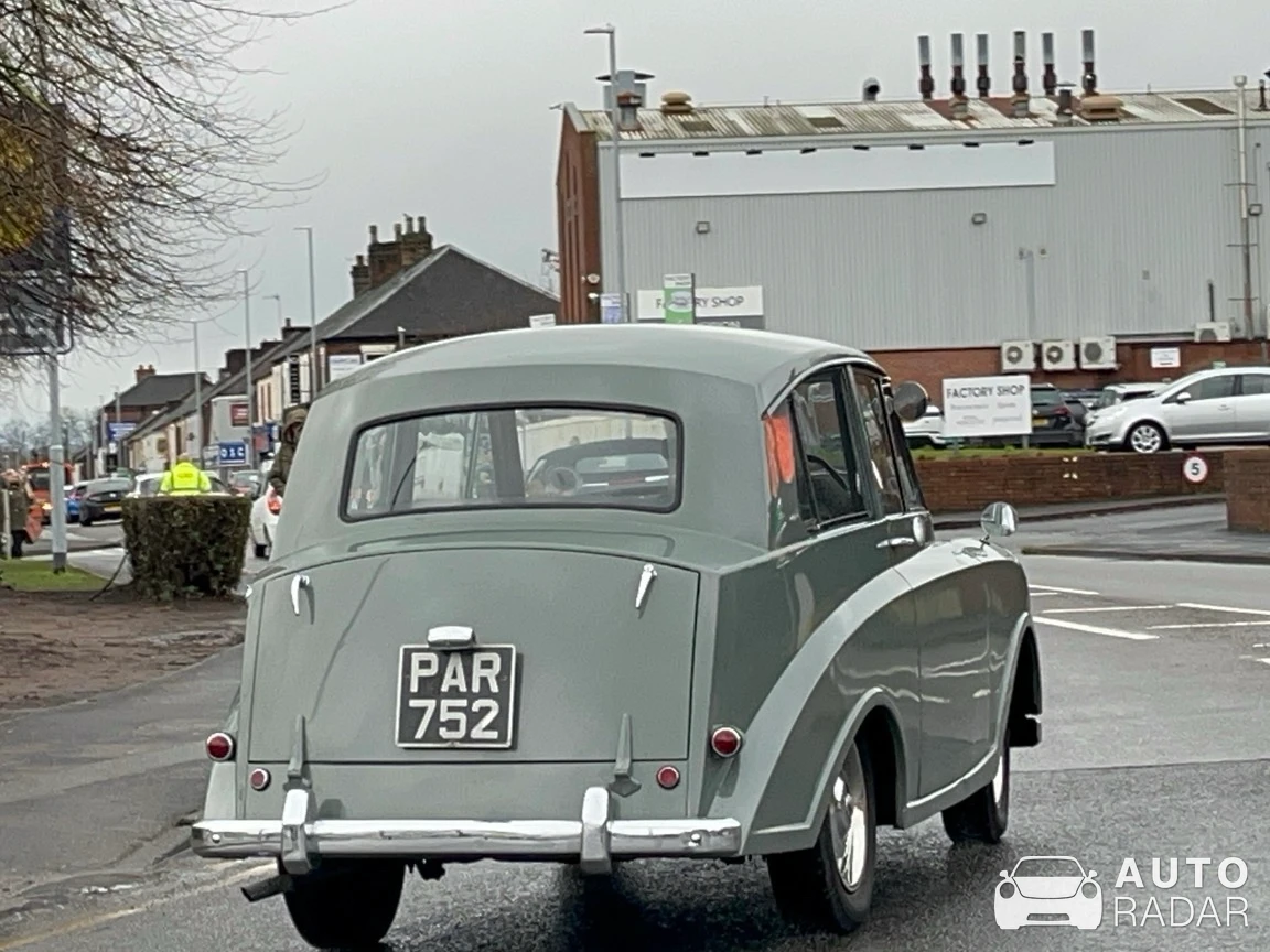 Standard Eight spotted