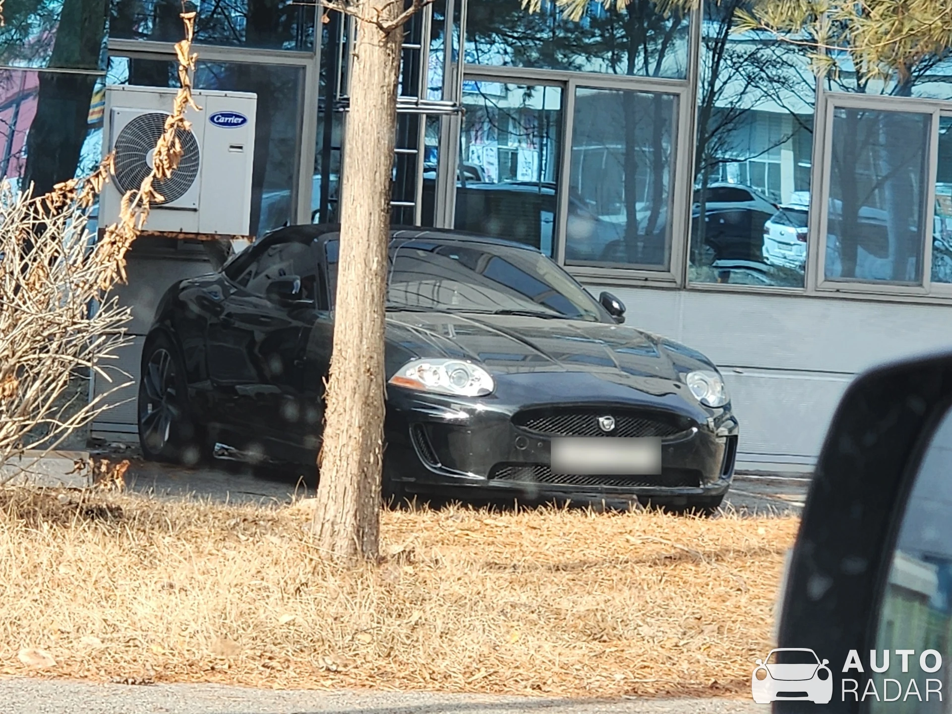Jaguar XK Convertible spotted in Daejeon