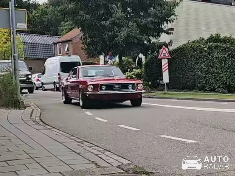 Ford Mustang Shelby G.T. 500 1969-1970 spotted in Moerdijk, Netherlands