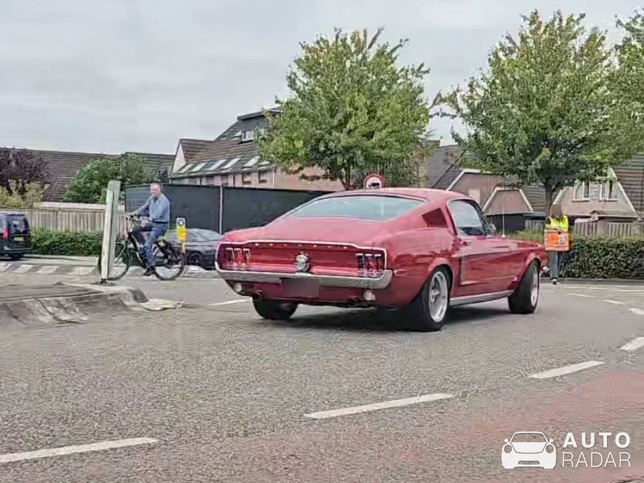 Ford Mustang Shelby G.T. 500 1969-1970 spotted in Moerdijk
