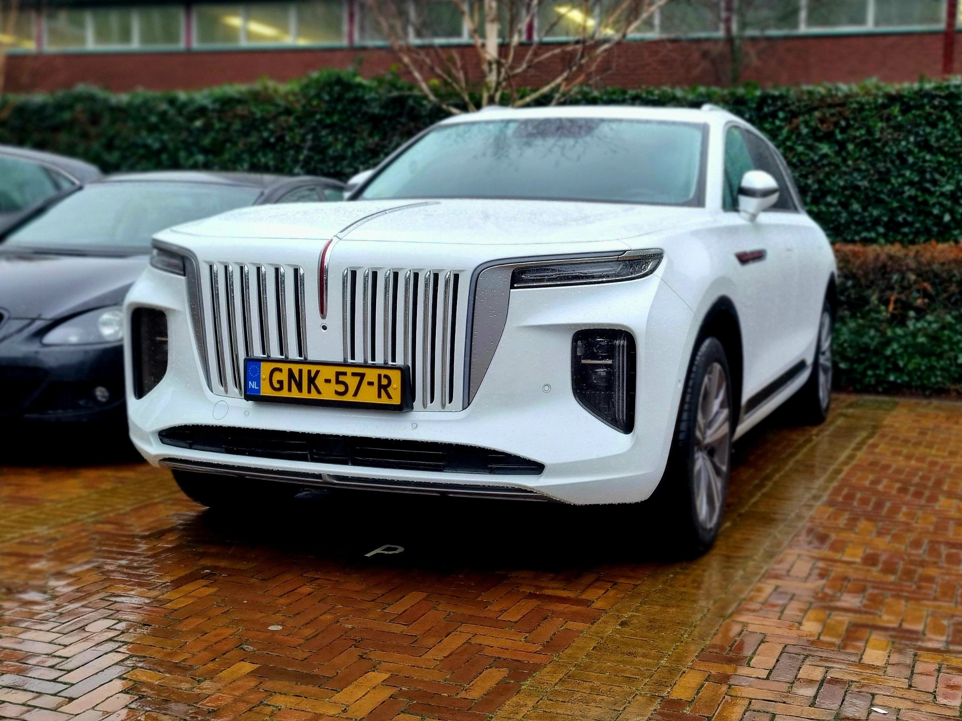 Hongqi E-HS9
