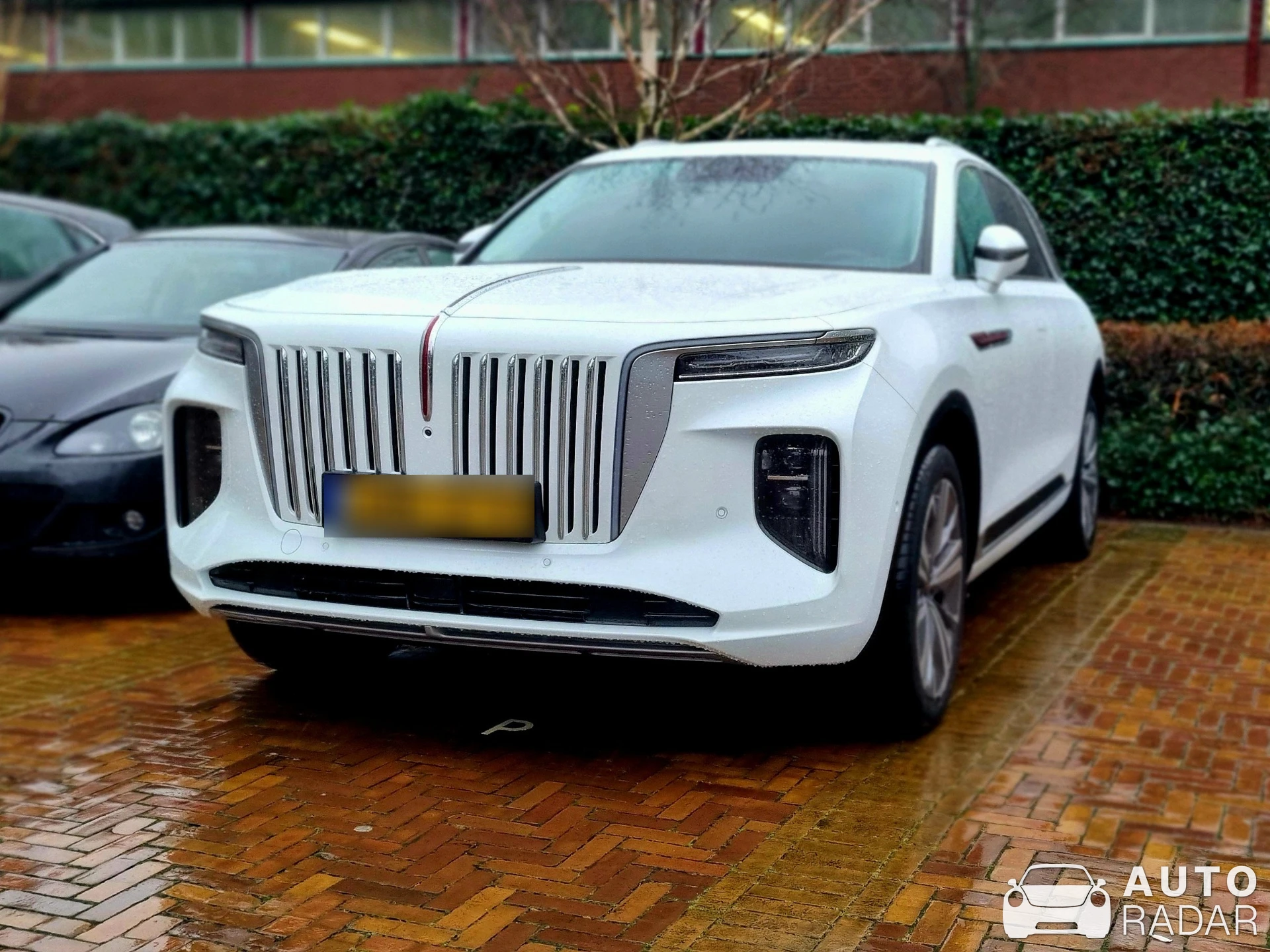 Hongqi E-HS9 spotted in Rotterdam, Netherlands