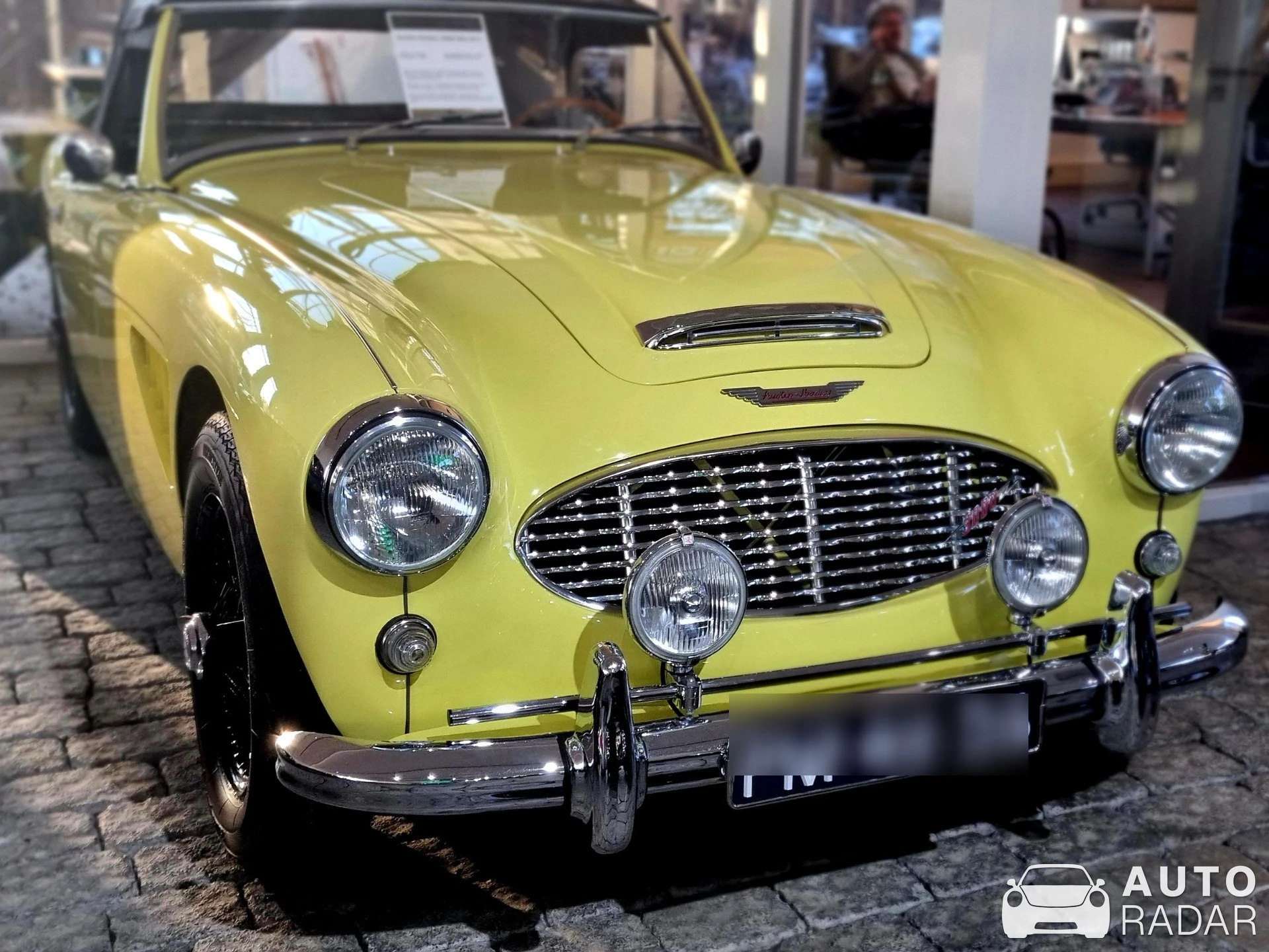 Austin-Healey 3000 spotted in Brummen, Netherlands