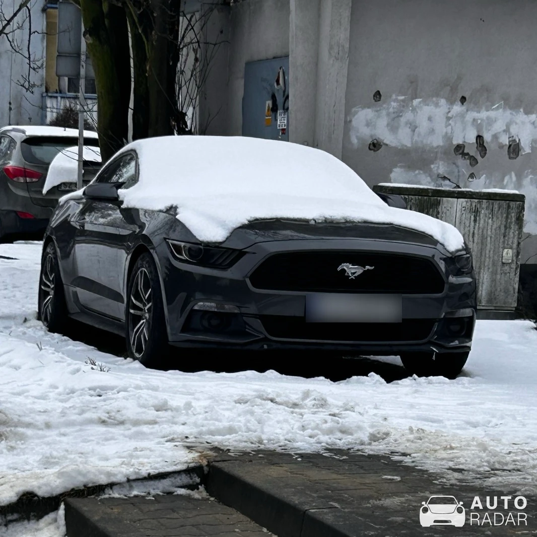 Ford Mustang 2.3 Ecoboost spotted in Katowice, Polen