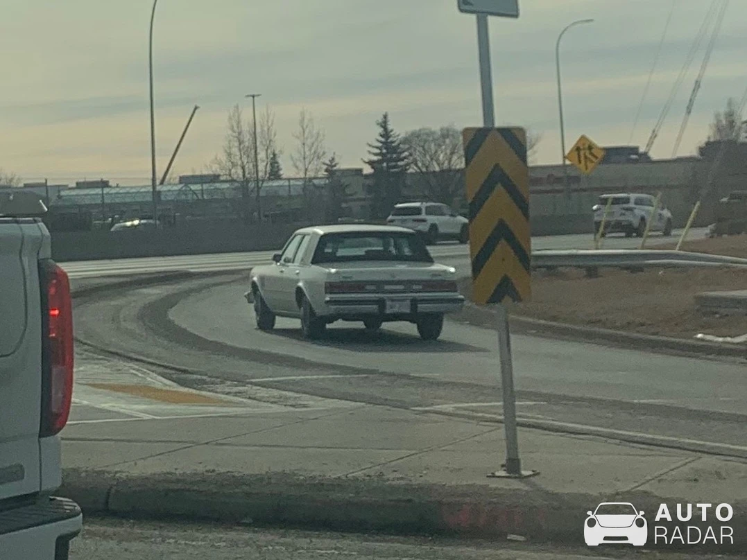 Dodge Diplomat spotted in Calgary