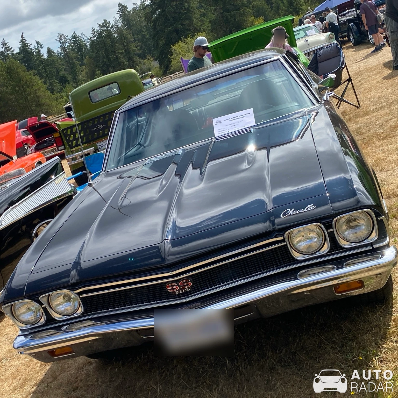 Chevrolet Chevelle SS 396 spotted in Errington